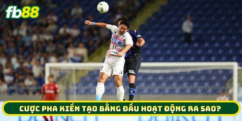 8 Bí Kíp Chinh Phục Cược Pha Kiến Tạo Bằng Đầu Hốt Bạc 2 Cược Pha Kiến Tạo Bằng Đầu hoạt động ra sao?