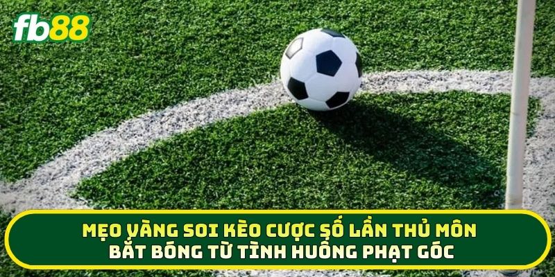Mẹo vàng soi kèo Cược Số Lần Thủ Môn Bắt Bóng Từ Tình Huống Phạt Góc