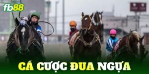 ca cuoc dua ngua