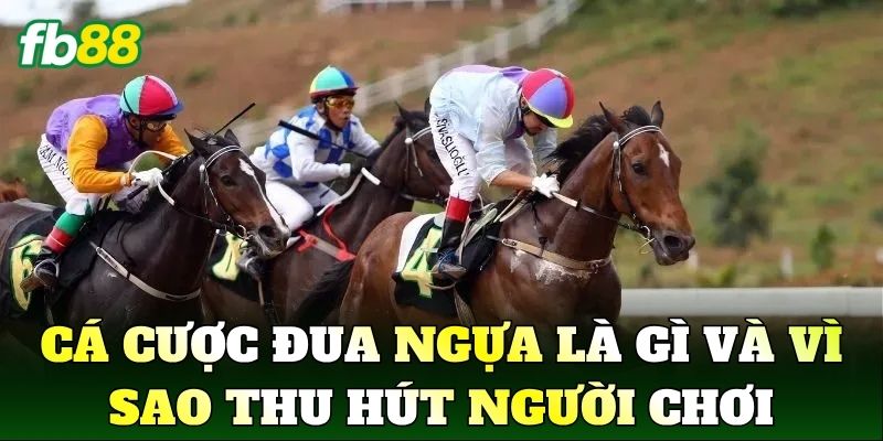 Cá cược đua ngựa là gì và vì sao thu hút người chơi