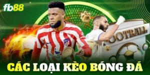 cac loai keo bong da