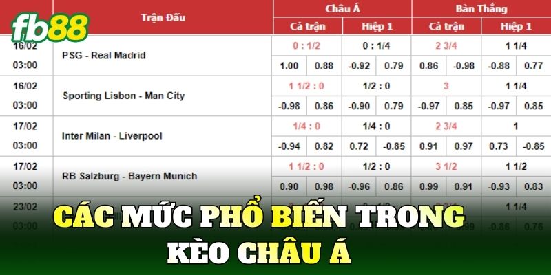 Các mức phổ biến trong Kèo Châu Á