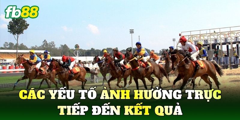 Các yếu tố ảnh hưởng trực tiếp đến kết quả