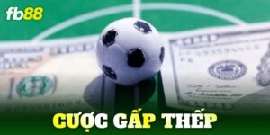 cuoc gap thep