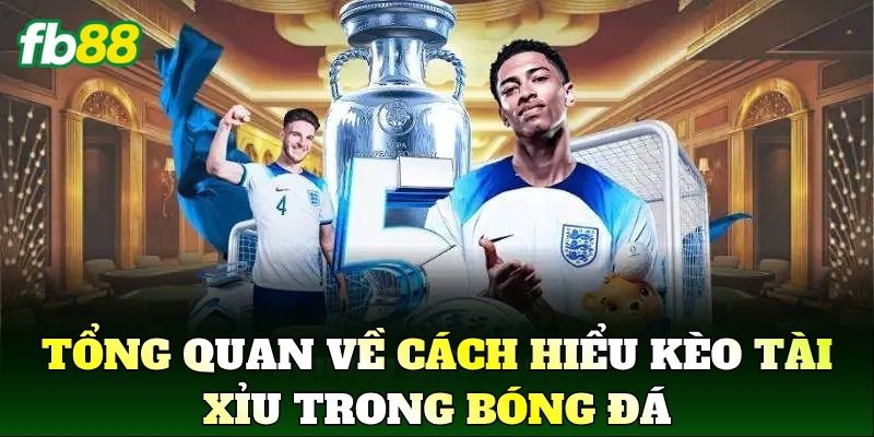 Tổng quan về cách hiểu kèo tài xỉu trong bóng đá