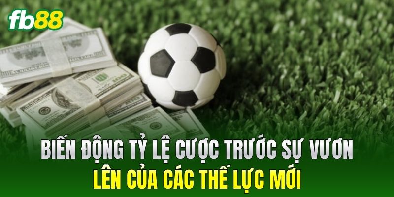 Đội Tuyển Gây Bất Ngờ Nhất WC 2026: Cơn Địa Chấn Toàn Cầu 3 Biến động tỷ lệ cược trước sự vươn lên của các thế lực mới
