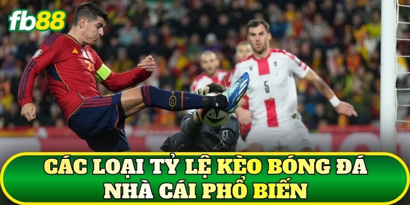 Tỷ Lệ Kèo Bóng Đá Nhà Cái Và Cách Đọc Chuẩn 2 Các loại tỷ lệ kèo bóng đá nhà cái phổ biến