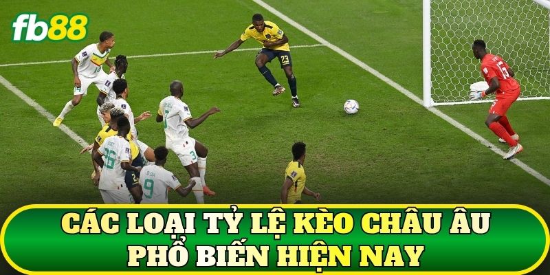 Tỷ Lệ Kèo Châu Âu Là Gì? Cách Đọc Kèo 1X2 Chuẩn 2 Các loại tỷ lệ kèo châu Âu phổ biến hiện nay