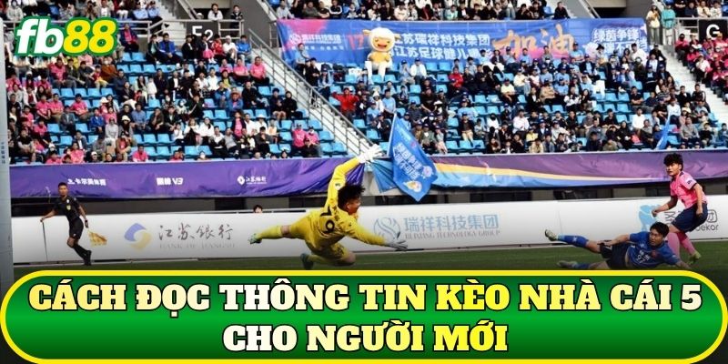 Kèo Nhà Cái 5 – Giải Mã Top 10 Thuật Ngữ Bóng Đá Phổ Biến 2 Cách đọc thông tin kèo nhà cái 5 cho người mới