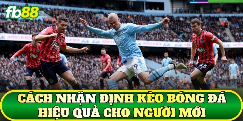 Cách nhận định kèo bóng đá hiệu quả cho người mới