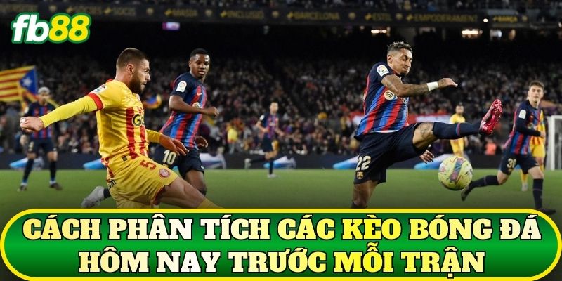 Các Kèo Bóng Đá Hôm Nay Và Cách Phân Tích Chuẩn 2 Cách phân tích các kèo bóng đá hôm nay trước mỗi trận