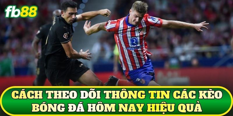 Các Kèo Bóng Đá Hôm Nay Và Cách Phân Tích Chuẩn 3 Cách theo dõi thông tin các kèo bóng đá hôm nay hiệu quả