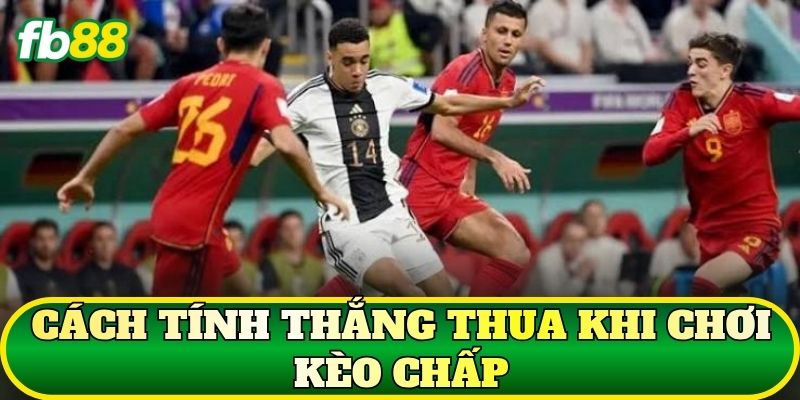 Kèo Chấp Là Gì? Cách Đọc Và Tính Kèo Bóng Đá Chuẩn 2 Cách tính thắng thua khi chơi kèo chấp