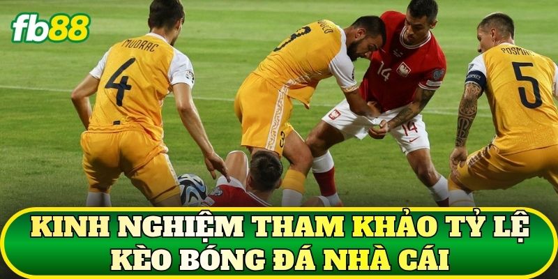 Tỷ Lệ Kèo Bóng Đá Nhà Cái Và Cách Đọc Chuẩn 3 Kinh nghiệm tham khảo tỷ lệ kèo bóng đá nhà cái