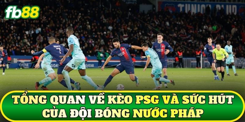 Kèo PSG: Cẩm Nang Phân Tích Tỷ Lệ Và Nhận Định Chuẩn 1 Tổng quan về kèo PSG và sức hút của đội bóng nước Pháp
