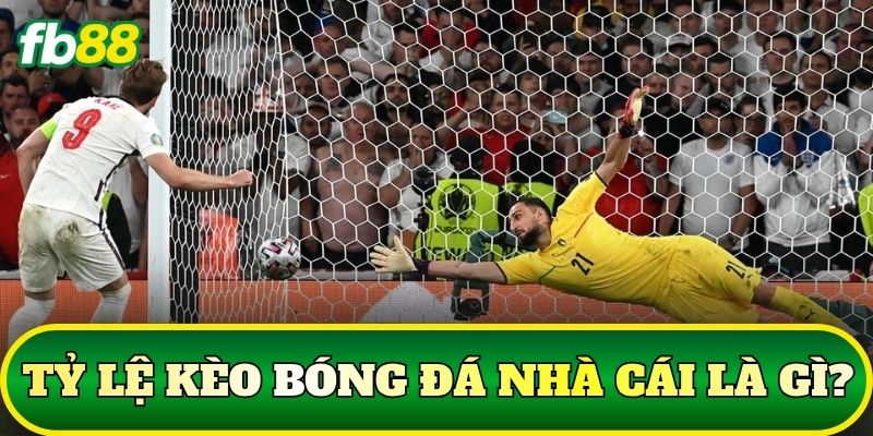 Tỷ Lệ Kèo Bóng Đá Nhà Cái Và Cách Đọc Chuẩn 1 Tỷ lệ kèo bóng đá nhà cái là gì?