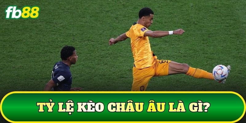 Tỷ Lệ Kèo Châu Âu Là Gì? Cách Đọc Kèo 1X2 Chuẩn 1 Tỷ lệ kèo châu Âu là gì?