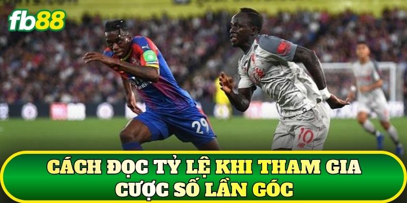 Cách đọc tỷ lệ khi tham gia cược số lần góc