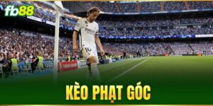 keo phat goc